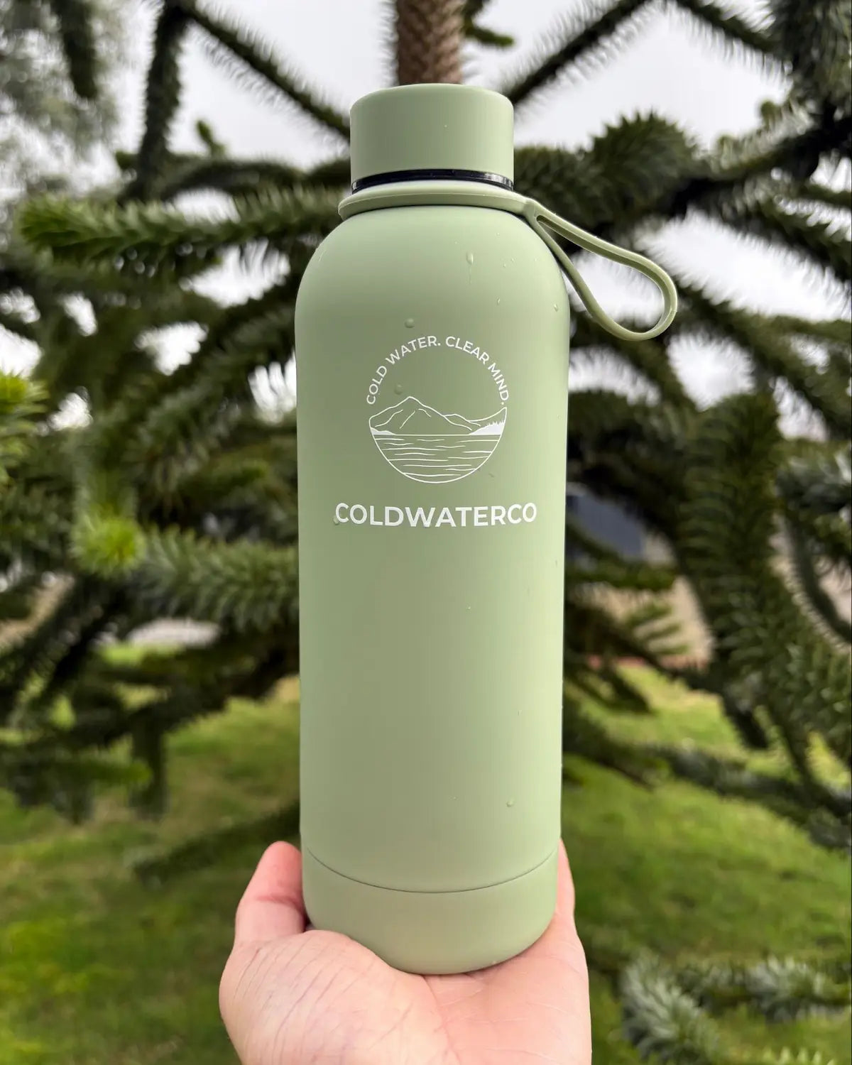 Green water bottle with 'Coldwaterco' logo held in front of a tree
