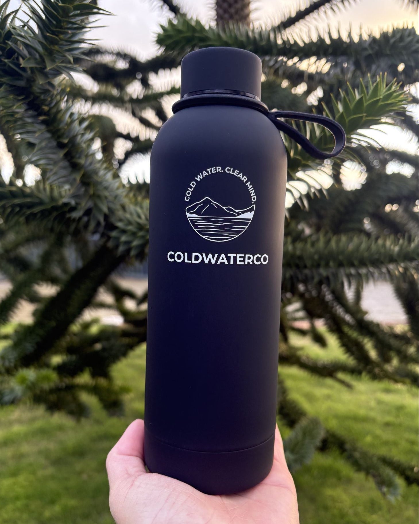Black water bottle with 'COLDWATERCO' logo held in front of green foliage