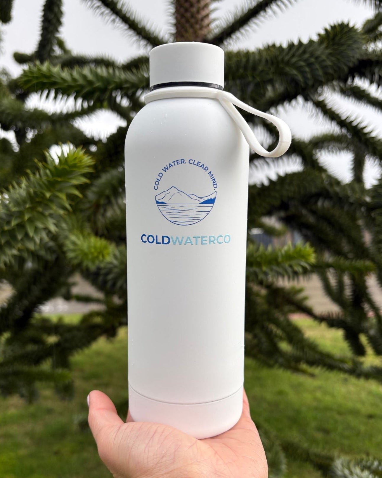 White water bottle with 'Cold Water Co.' branding held in front of a tree